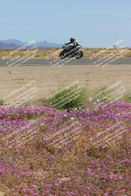 media/Mar-12-2023-SoCal Trackdays (Sun) [[d4c8249724]]/Turn 15 Inside Bloom (130pm)/